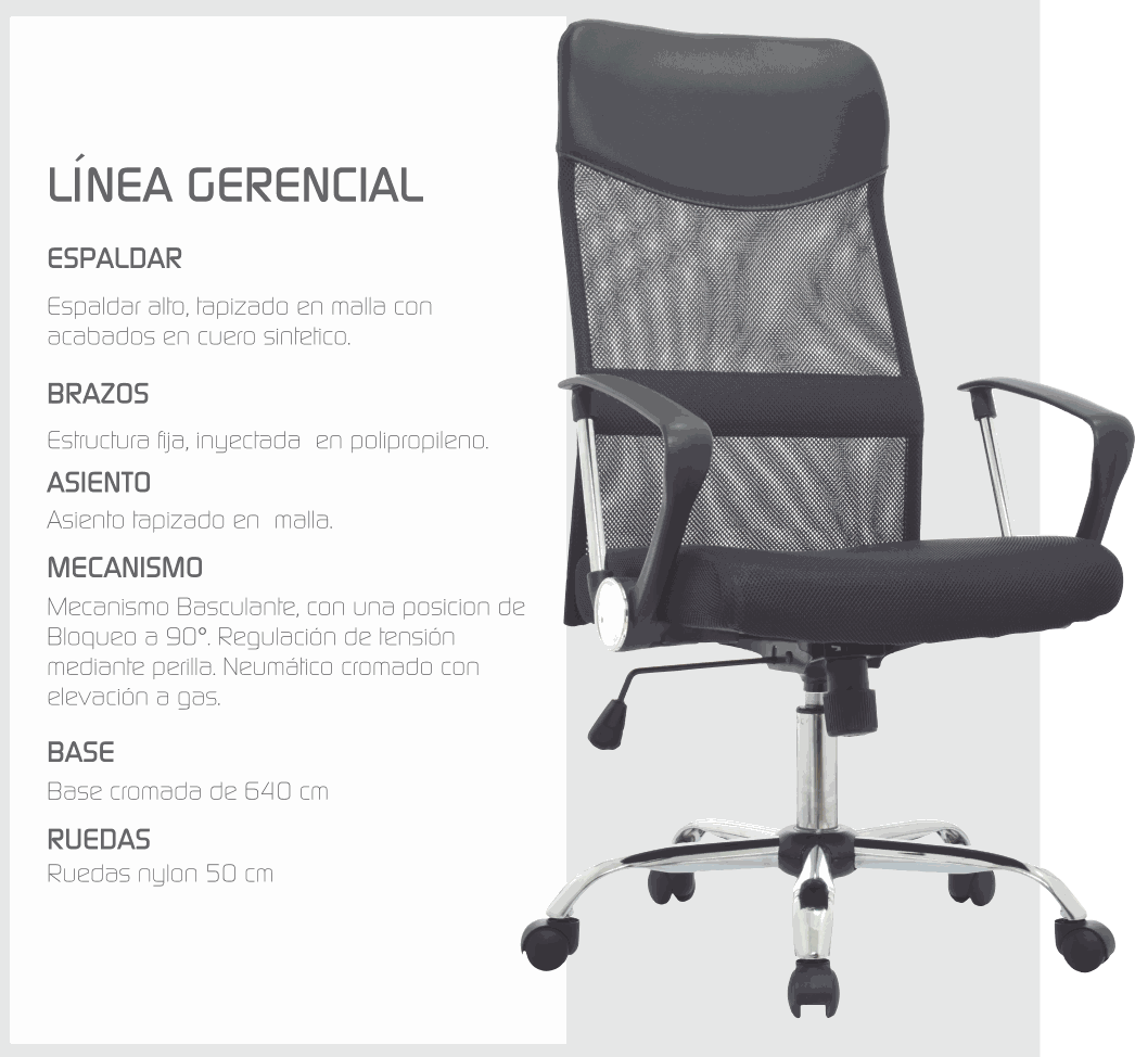 Imagen de la diapositiva