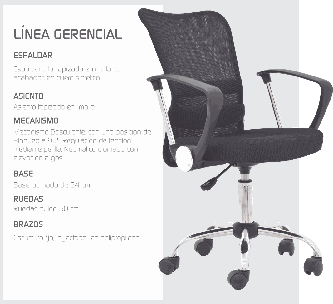 Imagen de la diapositiva
